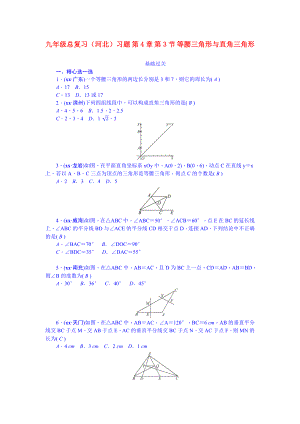 九年級(jí)總復(fù)習(xí)（河北）習(xí)題 第4章 第3節(jié) 等腰三角形與直角三角形