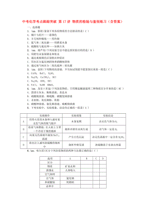 中考化學(xué)考點(diǎn)跟蹤突破 第17講 物質(zhì)的檢驗(yàn)與鑒別練習(xí)（含答案）