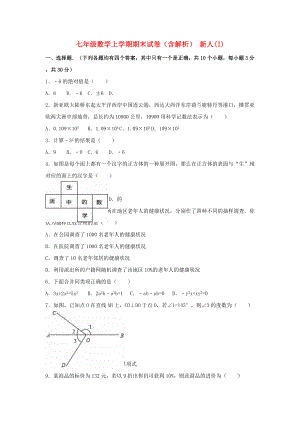 七年級數(shù)學(xué)上學(xué)期期末試卷（含解析） 新人(I)