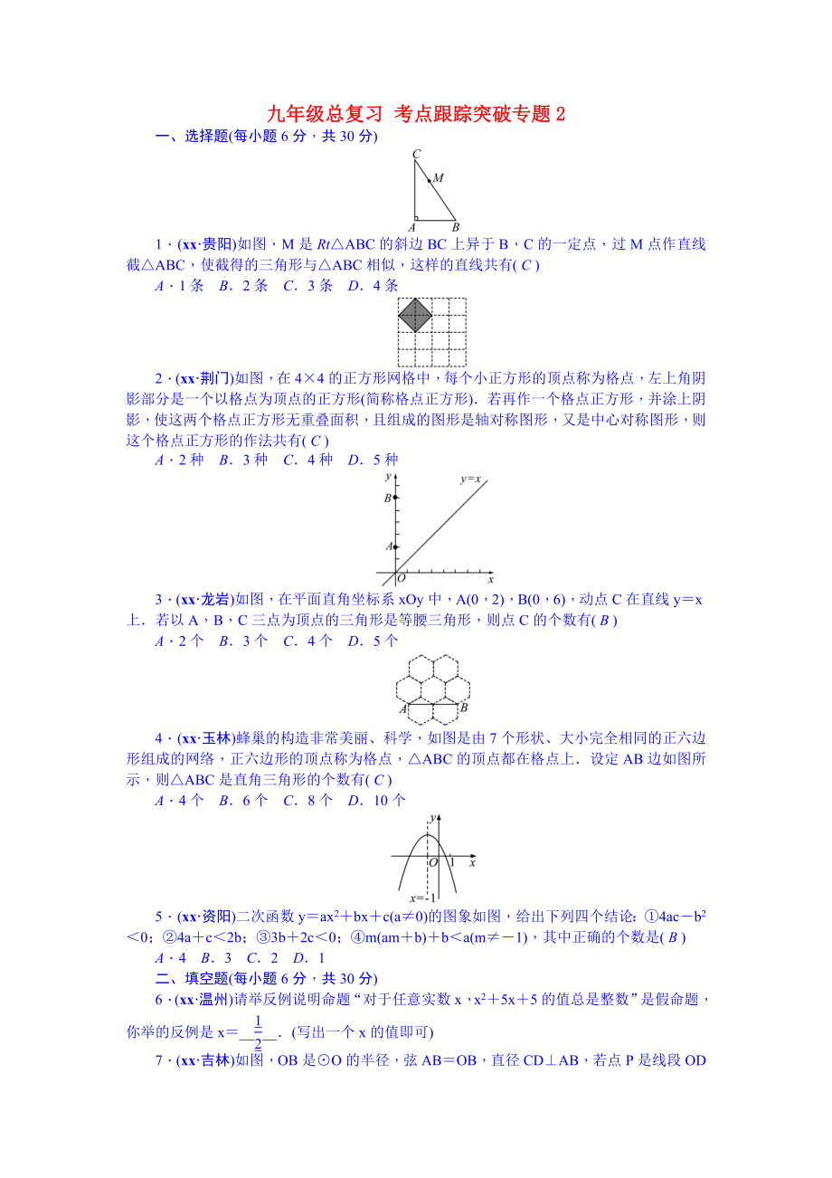 九年級總復(fù)習(xí) 考點跟蹤突破專題2_第1頁