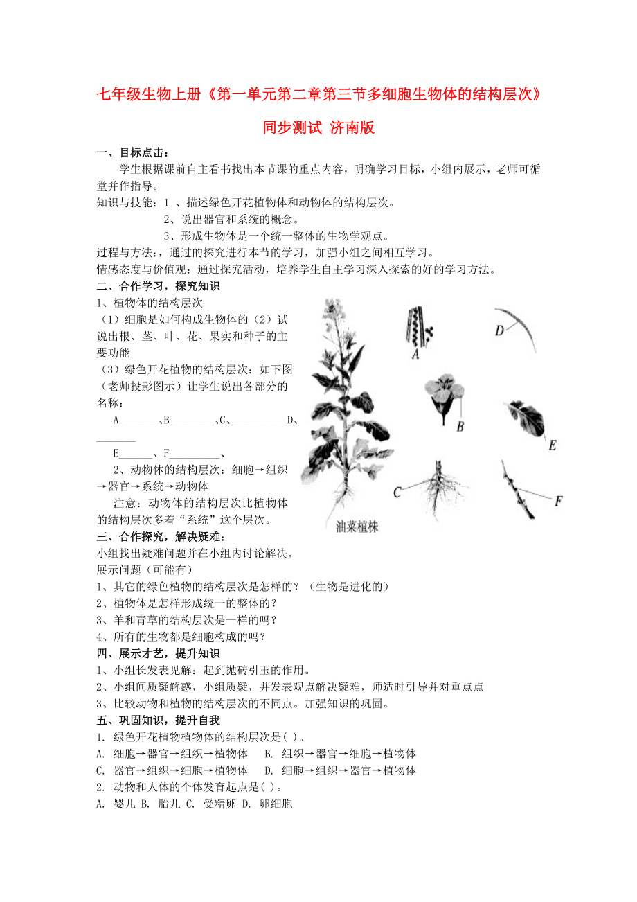 七年级生物上册《第一单元 第二章 第三节 多细胞生物体的结构层次》同步测试 济南版_第1页