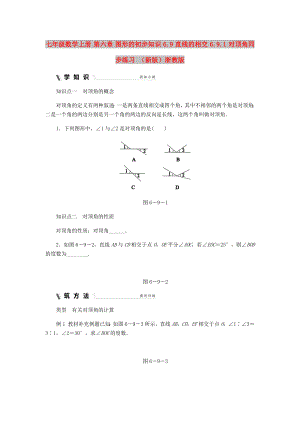 七年級數(shù)學(xué)上冊 第六章 圖形的初步知識 6.9 直線的相交 6.9.1 對頂角同步練習(xí) （新版）浙教版