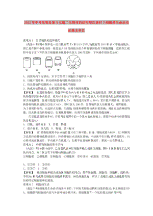 2022年中考生物總復(fù)習(xí)主題二生物體的結(jié)構(gòu)層次課時(shí)3細(xì)胞是生命活動(dòng)的基本單位