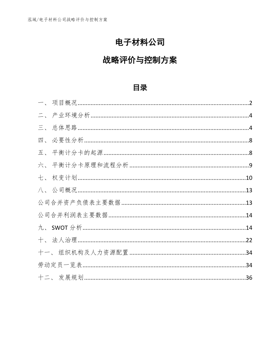 电子材料公司战略评价与控制方案_参考_第1页