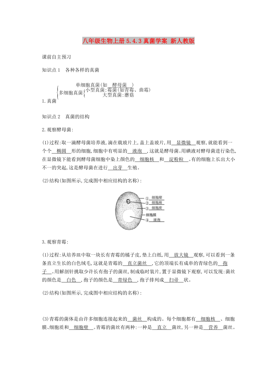 八年级生物上册5.4.3真菌学案 新人教版_第1页