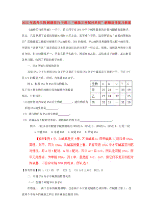 2022年高考生物 解題技巧 專題三“堿基互補(bǔ)配對(duì)原則”解題規(guī)律復(fù)習(xí)教案