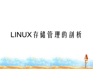 LINUX存储管理的剖析