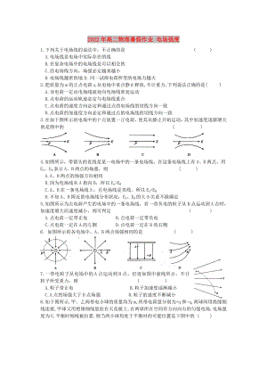 2022年高二物理暑假作業(yè) 電場強(qiáng)度