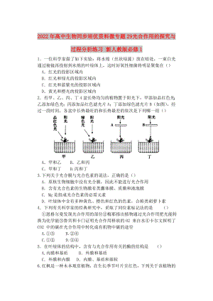 2022年高中生物同步培優(yōu)資料 微專題29 光合作用的探究與過程分析練習(xí) 新人教版必修1