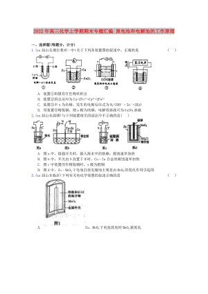 2022年高三化學(xué)上學(xué)期期末專題匯編 原電池和電解池的工作原理