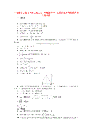 中考數(shù)學(xué)總復(fù)習(xí)（浙江地區(qū)）： 專題提升一　實數(shù)的運算與代數(shù)式的化簡求值