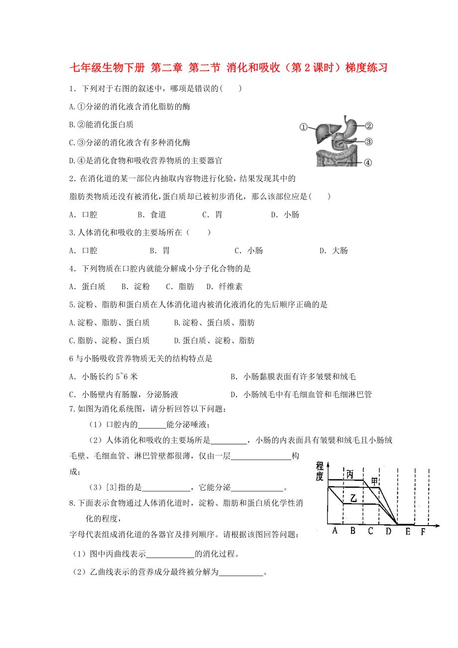 七年級生物下冊 第二章 第二節(jié) 消化和吸收（第2課時）梯度練習(xí)_第1頁