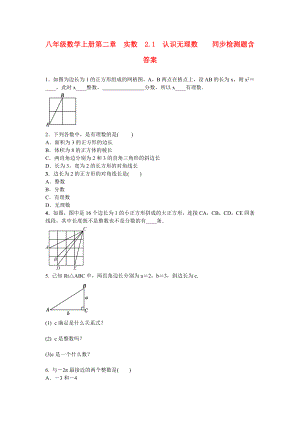 八年級數(shù)學(xué)上冊 第二章　實數(shù)2.1　認(rèn)識無理數(shù)同步檢測題 含答案