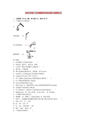 2022年高一上學(xué)期期中化學(xué)試卷 含解析(I)