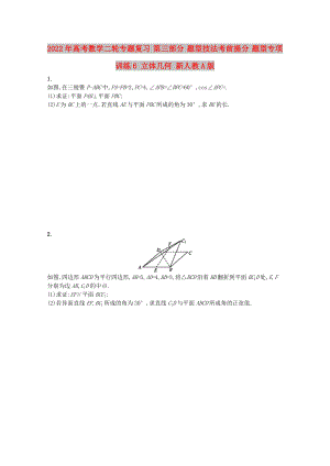 2022年高考數(shù)學(xué)二輪專題復(fù)習(xí) 第三部分 題型技法考前提分 題型專項訓(xùn)練6 立體幾何 新人教A版