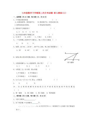 七年級數(shù)學(xué)下學(xué)期第二次月考試題 新人教版(II)