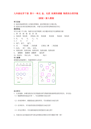 九年級(jí)化學(xué)下冊(cè) 第十一單元 鹽、化肥 拓展性課題 物質(zhì)的分類學(xué)案（新版）新人教版