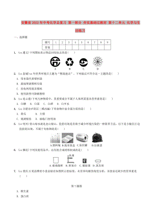 安徽省2022年中考化學(xué)總復(fù)習(xí) 第一部分 夯實(shí)基礎(chǔ)過(guò)教材 第十二單元 化學(xué)與生活練習(xí)