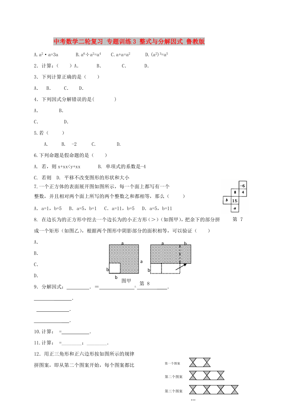 中考數(shù)學(xué)二輪復(fù)習(xí) 專題訓(xùn)練3 整式與分解因式 魯教版_第1頁