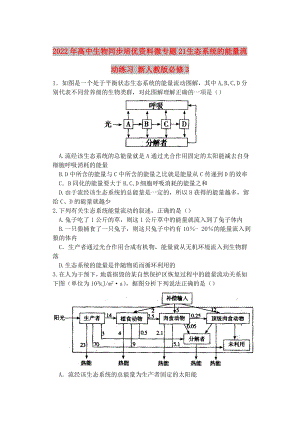 2022年高中生物同步培優(yōu)資料 微專題21 生態(tài)系統(tǒng)的能量流動(dòng)練習(xí) 新人教版必修3