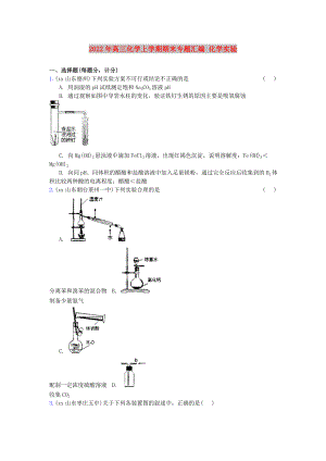 2022年高三化學(xué)上學(xué)期期末專題匯編 化學(xué)實(shí)驗(yàn)