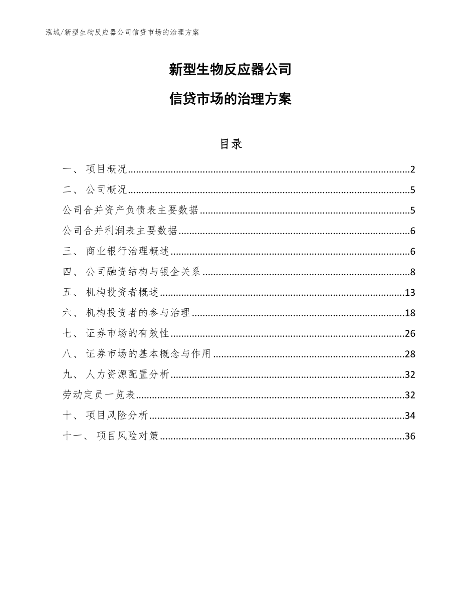 新型生物反应器公司信贷市场的治理方案_第1页