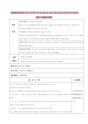 九年級(jí)英語全冊(cè) Unit 13 We’re trying to save the earth Section B 2a-2e教案 人教新目標(biāo)版