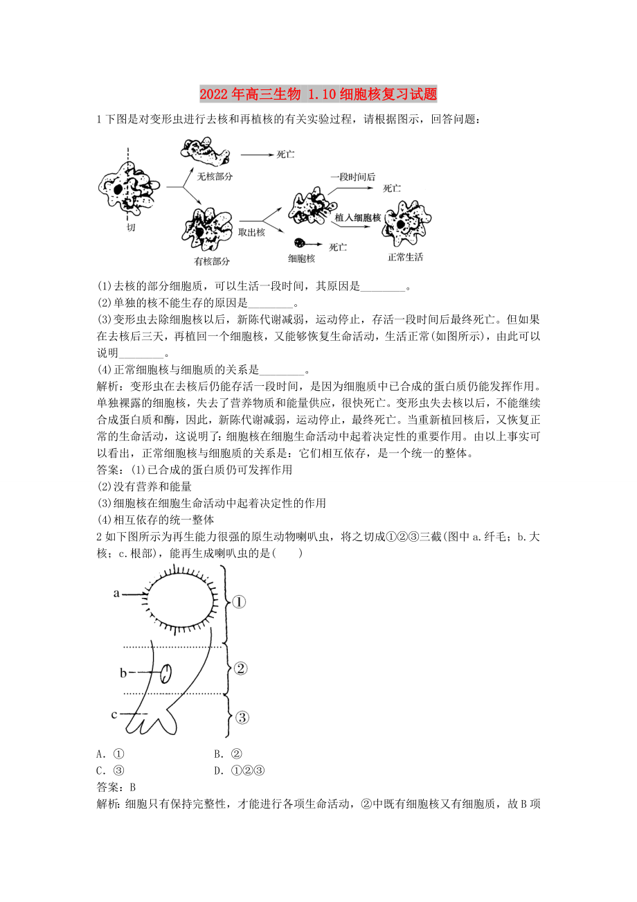 2022年高三生物 1.10細胞核復(fù)習(xí)試題_第1頁