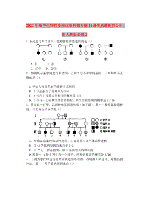 2022年高中生物同步培優(yōu)資料 微專題11 遺傳系譜圖的分析 新人教版必修2