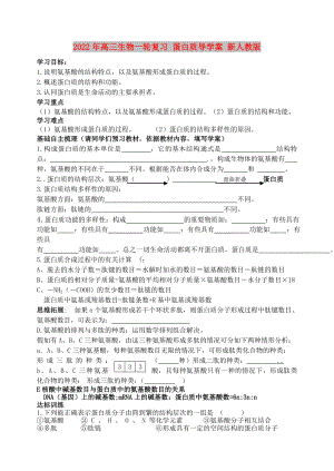 2022年高三生物一輪復(fù)習 蛋白質(zhì)導(dǎo)學案 新人教版