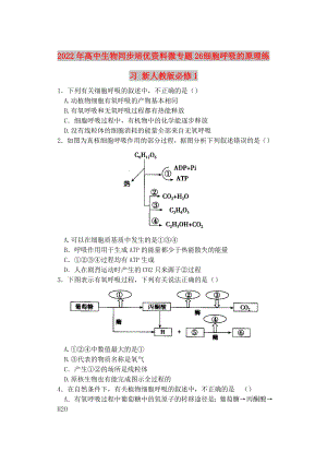 2022年高中生物同步培優(yōu)資料 微專(zhuān)題26 細(xì)胞呼吸的原理練習(xí) 新人教版必修1