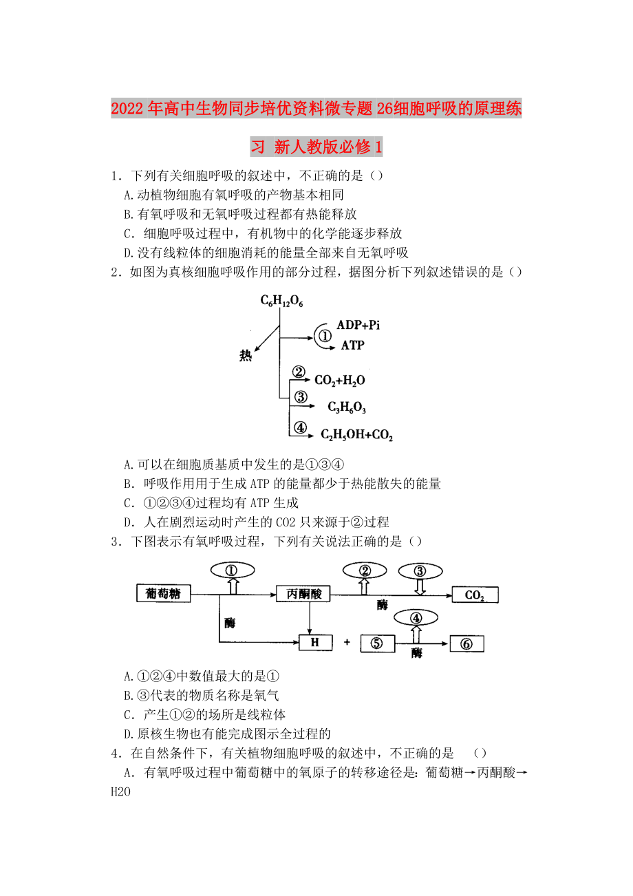 2022年高中生物同步培优资料 微专题26 细胞呼吸的原理练习 新人教版必修1_第1页