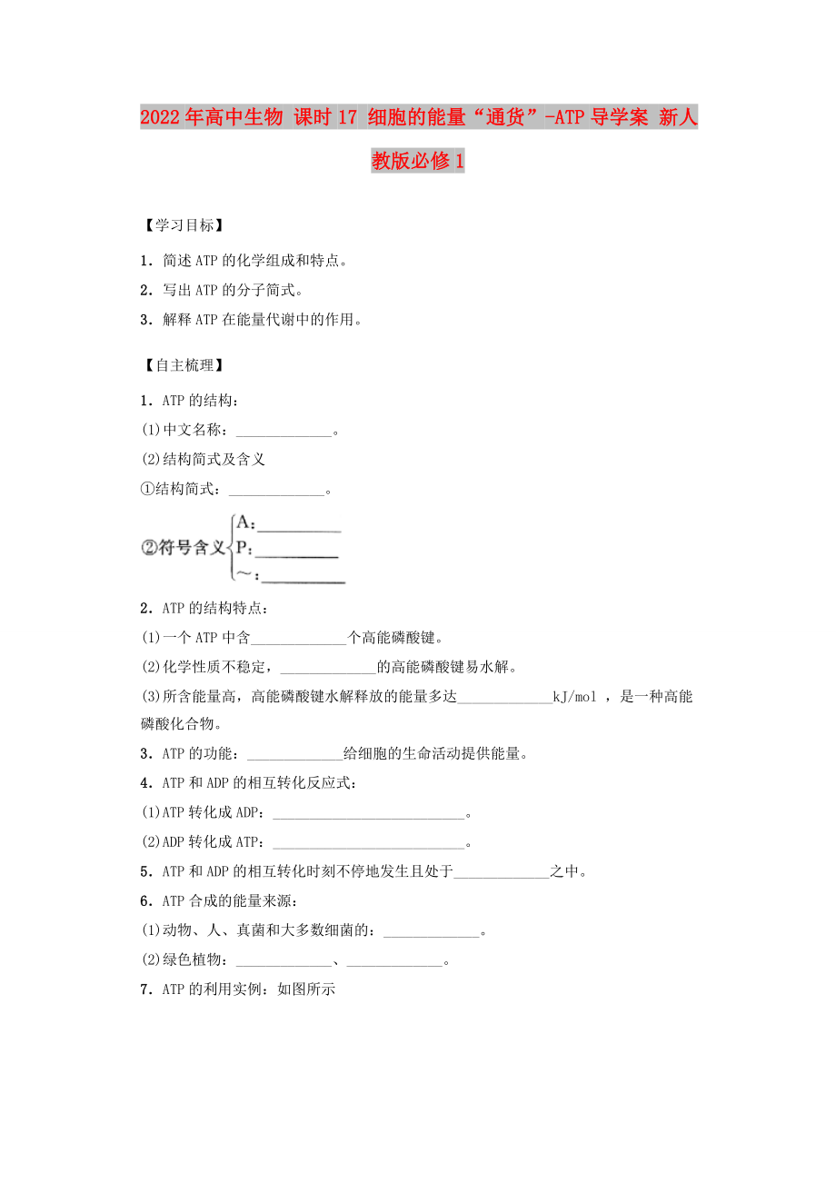 2022年高中生物 課時17 細胞的能量“通貨”-ATP導學案 新人教版必修1_第1頁