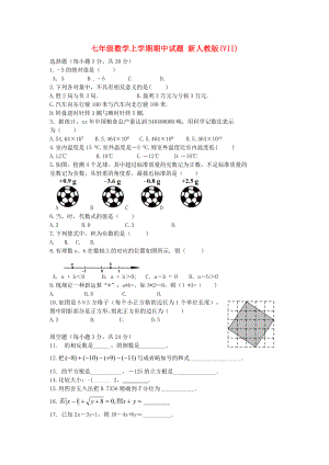 七年級數(shù)學(xué)上學(xué)期期中試題 新人教版(VII)