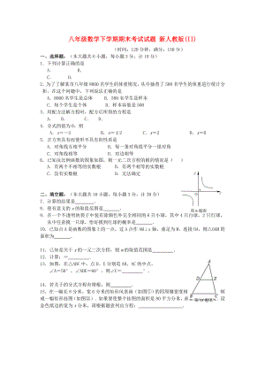 八年級數(shù)學(xué)下學(xué)期期末考試試題 新人教版(II)