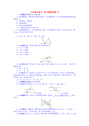 九年級總復(fù)習(xí) 考點跟蹤突破19