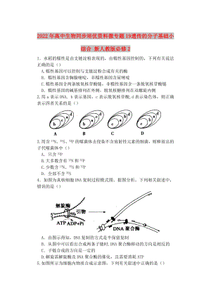 2022年高中生物同步培優(yōu)資料 微專題19 遺傳的分子基礎小綜合 新人教版必修2