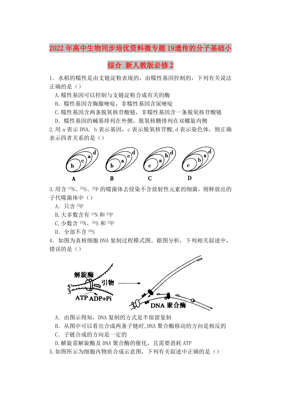 2022年高中生物同步培優(yōu)資料 微專題19 遺傳的分子基礎(chǔ)小綜合 新人教版必修2_第1頁(yè)