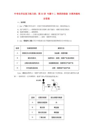 中考化學(xué)總復(fù)習(xí)練習(xí)冊：第33講 專題十二 物質(zhì)的檢驗(yàn) 分離和提純 含答案