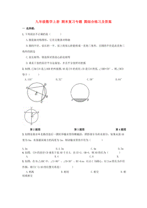 九年級(jí)數(shù)學(xué)上冊(cè) 期末復(fù)習(xí)專題 圓綜合練習(xí)及答案