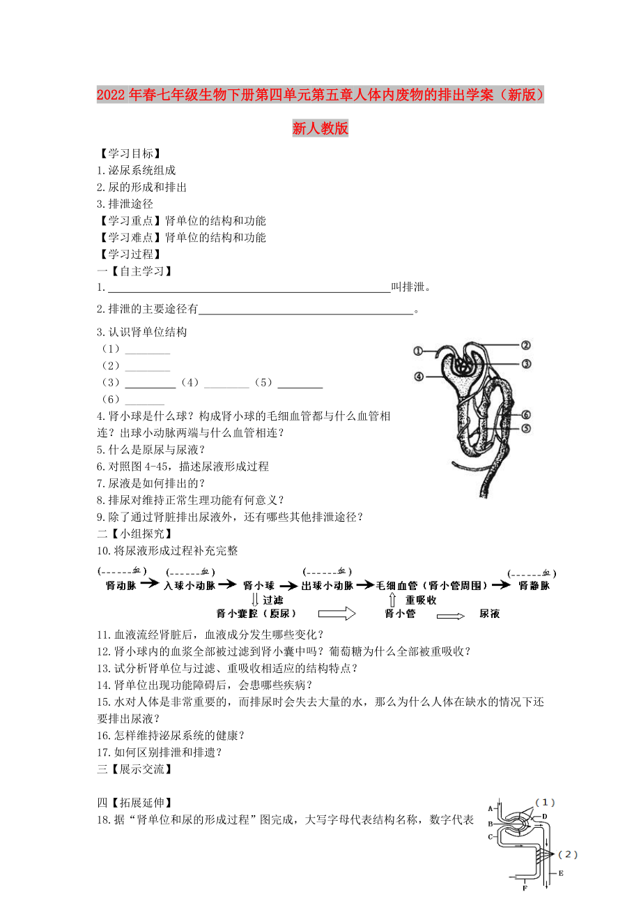 2022年春七年級生物下冊 第四單元 第五章 人體內廢物的排出學案（新版）新人教版_第1頁