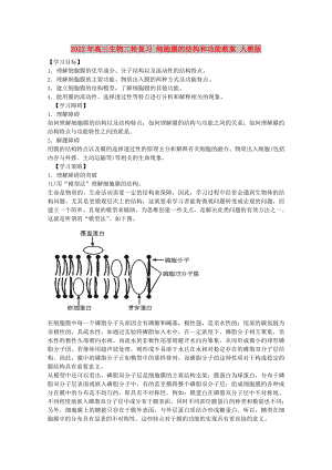 2022年高三生物二輪復(fù)習(xí) 細(xì)胞膜的結(jié)構(gòu)和功能教案 人教版