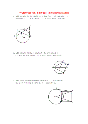 中考數(shù)學專題訓練 圓的專題11 圓的切線與全等三角形
