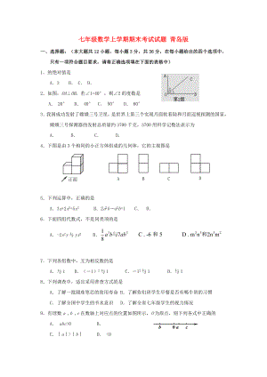 七年級(jí)數(shù)學(xué)上學(xué)期期末考試試題 青島版