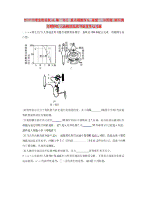 2022中考生物總復習 第二部分 重點題型探究 題型二 識圖題 第四類 動物體四大系統(tǒng)的組成與生理活動習題