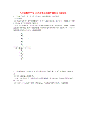 九年級(jí)數(shù)學(xué)中考 二次函數(shù)壓軸題專(zhuān)題復(fù)習(xí)（含答案）