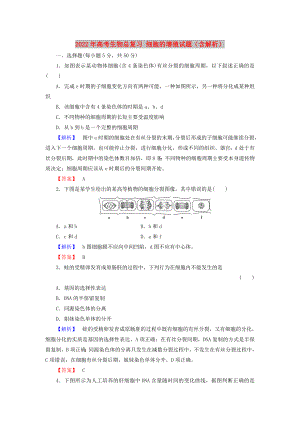 2022年高考生物總復習 細胞的增殖試題（含解析）