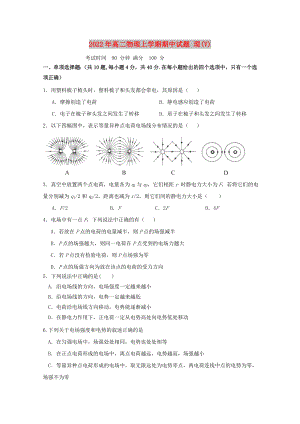 2022年高二物理上學(xué)期期中試題 理(V)