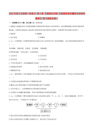 2022年高三生物第一輪復(fù)習(xí) 第4章 專題強(qiáng)化訓(xùn)練 生物膜系統(tǒng)的囊泡分泌物和膜蛋白 新人教版必修1