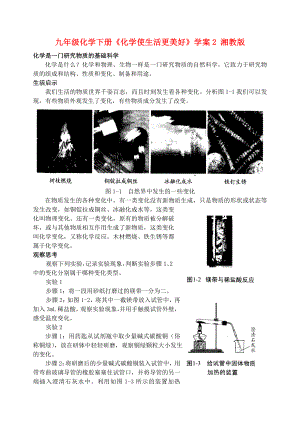 九年級(jí)化學(xué)下冊(cè)《化學(xué)使生活更美好》學(xué)案2 湘教版